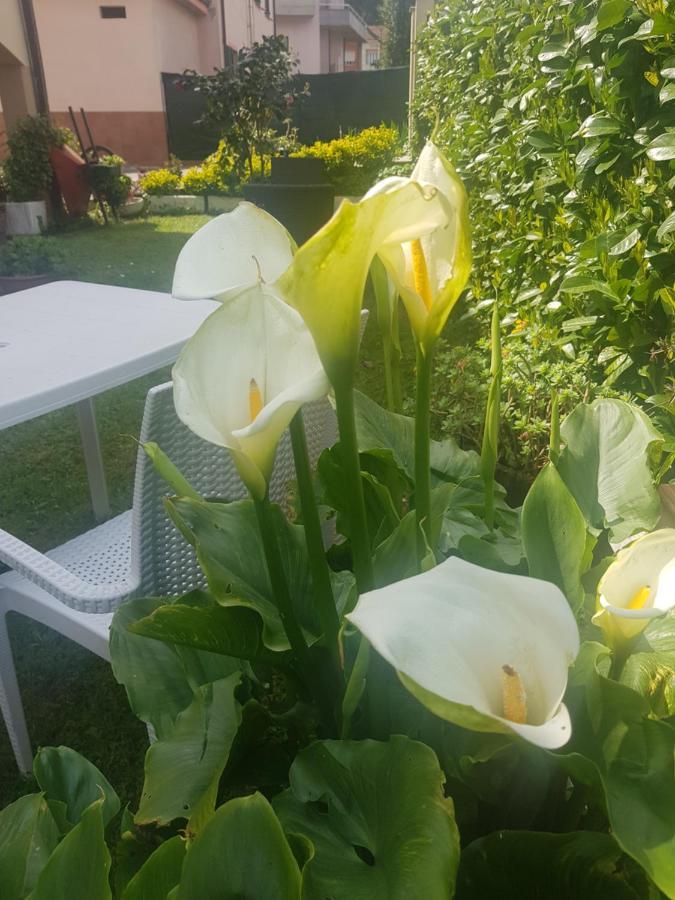 B&B La Damigiana Fioi Piano di Follo Eksteriør billede