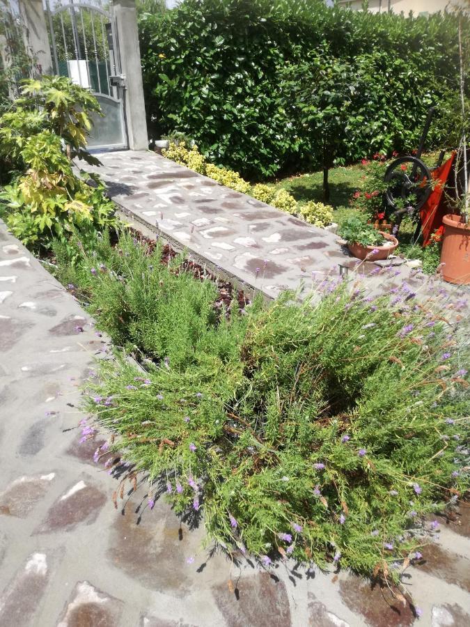 B&B La Damigiana Fioi Piano di Follo Eksteriør billede