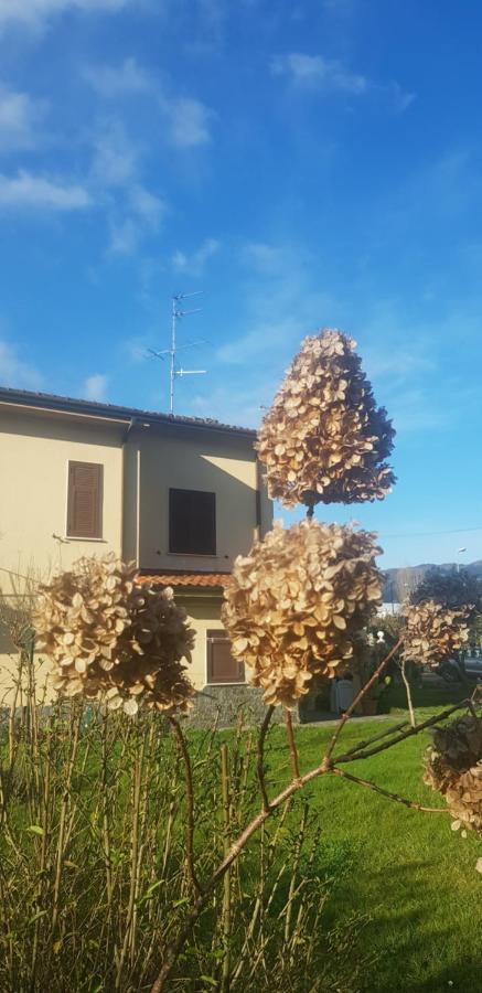 B&B La Damigiana Fioi Piano di Follo Eksteriør billede