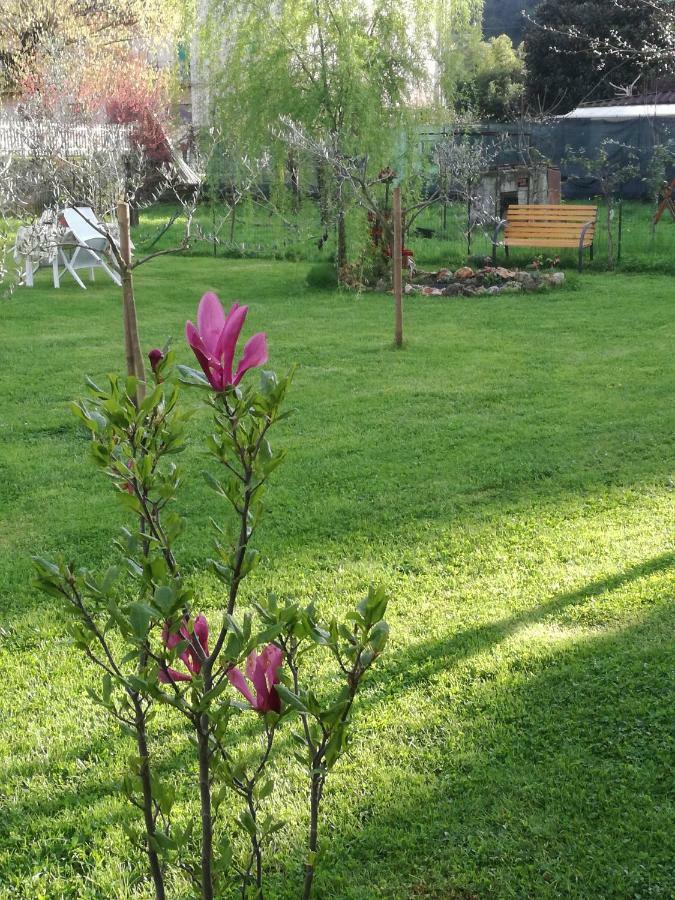 B&B La Damigiana Fioi Piano di Follo Eksteriør billede