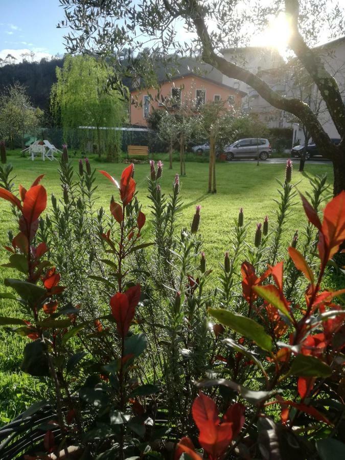 B&B La Damigiana Fioi Piano di Follo Eksteriør billede