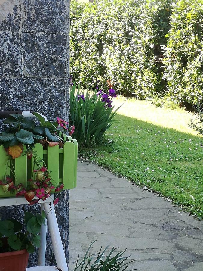 B&B La Damigiana Fioi Piano di Follo Eksteriør billede