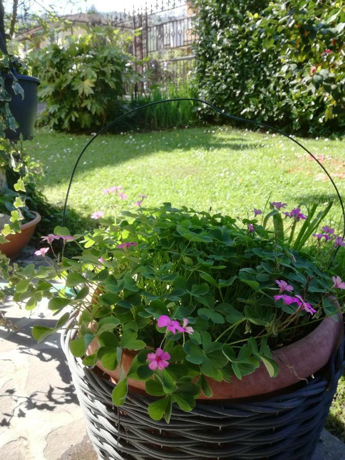 B&B La Damigiana Fioi Piano di Follo Eksteriør billede