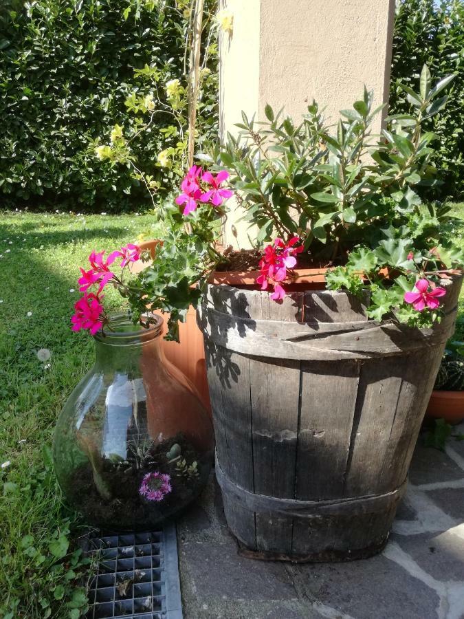 B&B La Damigiana Fioi Piano di Follo Eksteriør billede